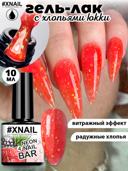 image-08-12-23-03-26-3